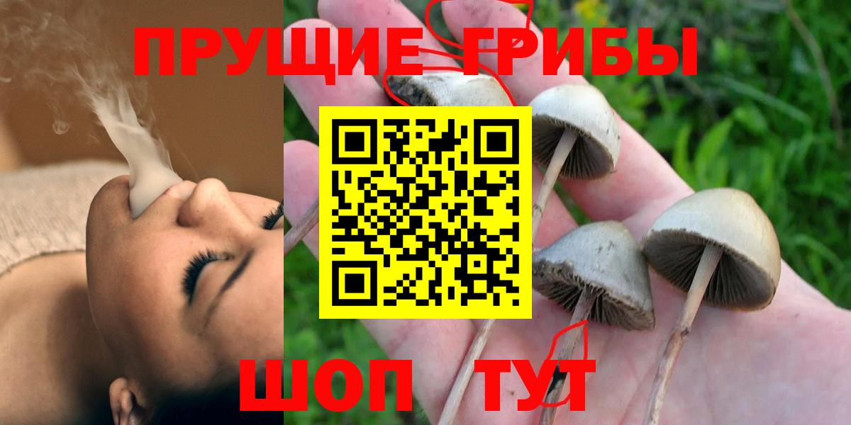 Галлюциногенные грибы мицелий  Псилоцибиновые грибы Psilocybine cubensis  наркошоп  Курчатов  Вход с VPN 